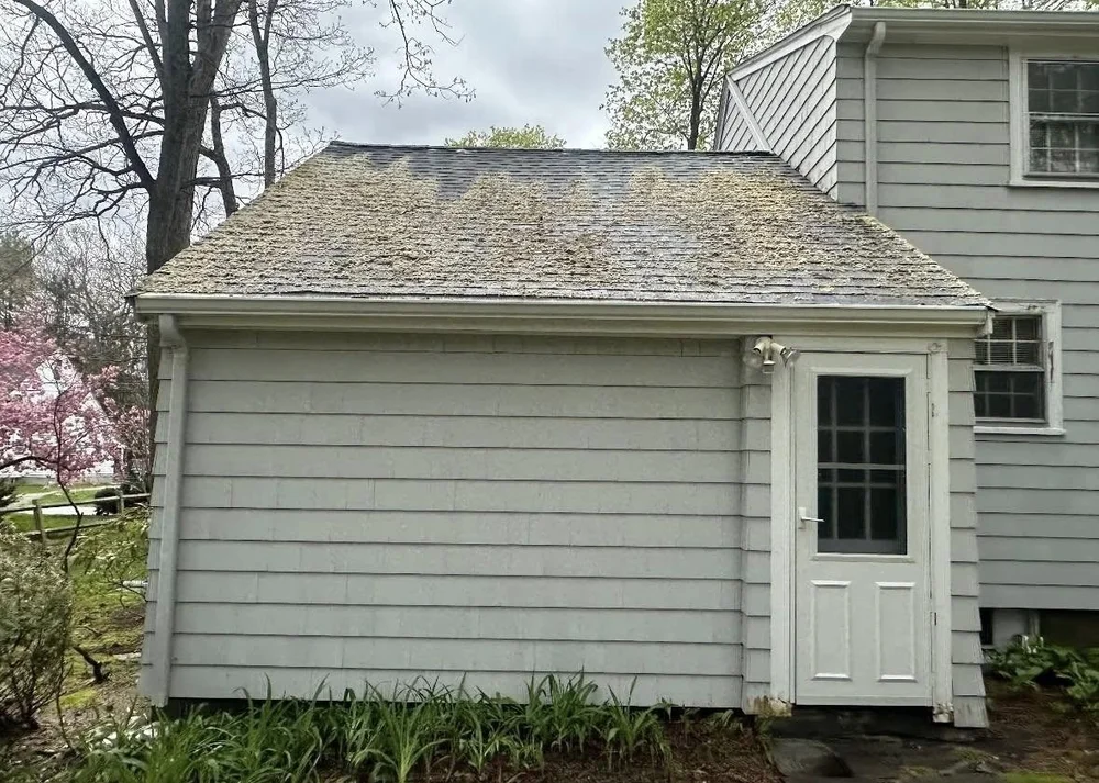 Professional Roof Cleaning & Soft Washing in Framingham, MA 1 488249697 652154514091919 83287564873499535 n