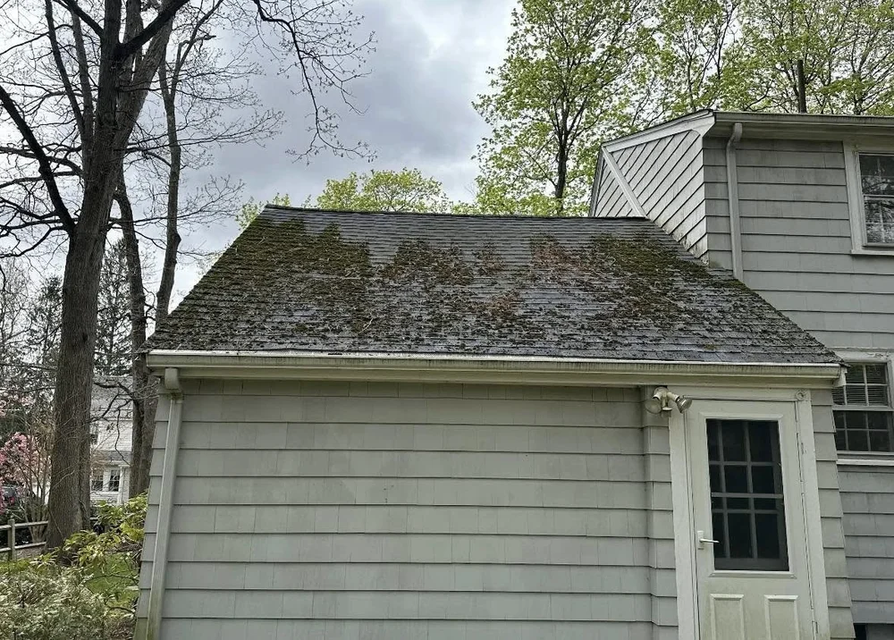 Professional Roof Cleaning & Soft Washing in Framingham, MA 2 488249987 652154520758585 4039026650807783106 n